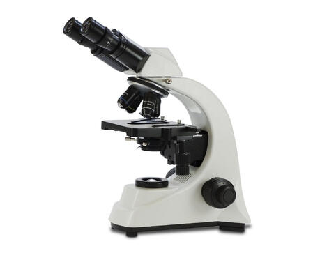 🧪 Lab Insight System Understand laboratory results with simplified explanations.