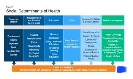 Medical Data Support